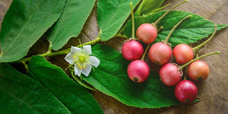 Buah Kersen