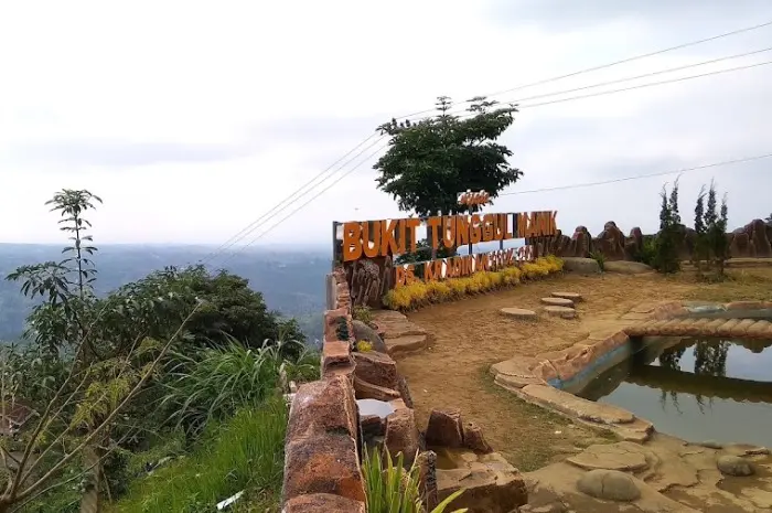 Bukit Tunggul Manik