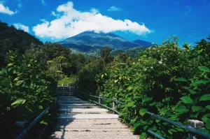 Wisata Alam Terbaik di Bogor yang Menyajikan Pengalaman Unik untuk Liburan