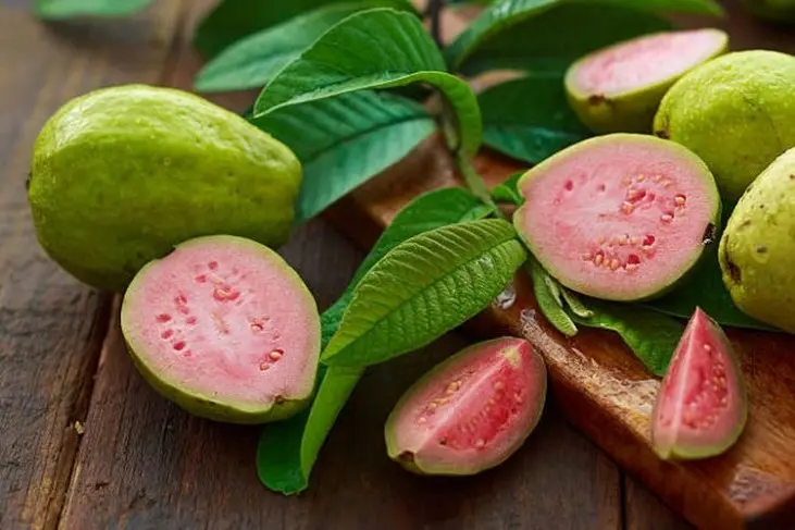 Jambu Biji: Raja Vitamin C yang Melebihi Jeruk