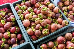 Jenis Buah Indonesia dengan Kandungan Gizi Tertinggi